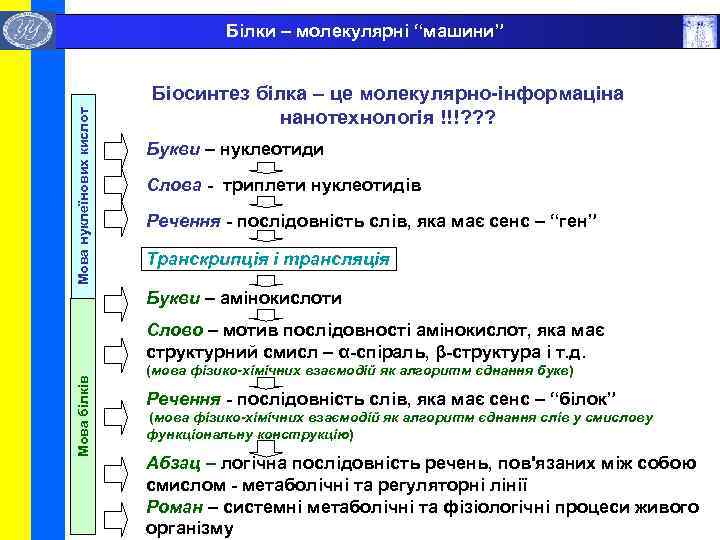  Мова нуклеїнових кислот Білки – молекулярні “машини” Біосинтез білка – це молекулярно-інформаціна нанотехнологія