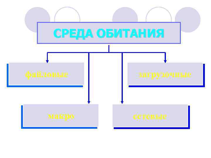 СРЕДА ОБИТАНИЯ файловые макро загрузочные сетевые 