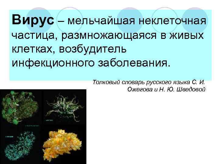 Вирус – мельчайшая неклеточная частица, размножающаяся в живых клетках, возбудитель инфекционного заболевания. Толковый словарь