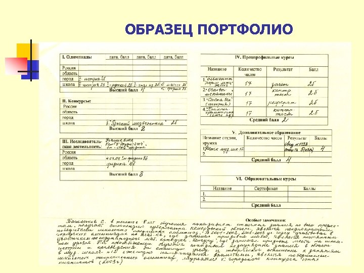 ОБРАЗЕЦ ПОРТФОЛИО 