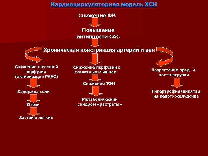 Кардиоциркуляторная модель ХСН Снижение ФВ Повышение активности САС Хроническая констрикция артерий и вен Снижение