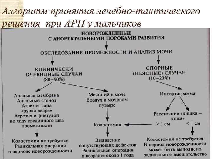 Алгоритм принятия лечебно-тактического решения при АРП у мальчиков 