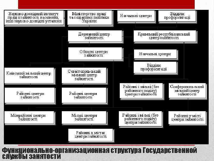 Функционально-организационная структура Государственной службы занятости 