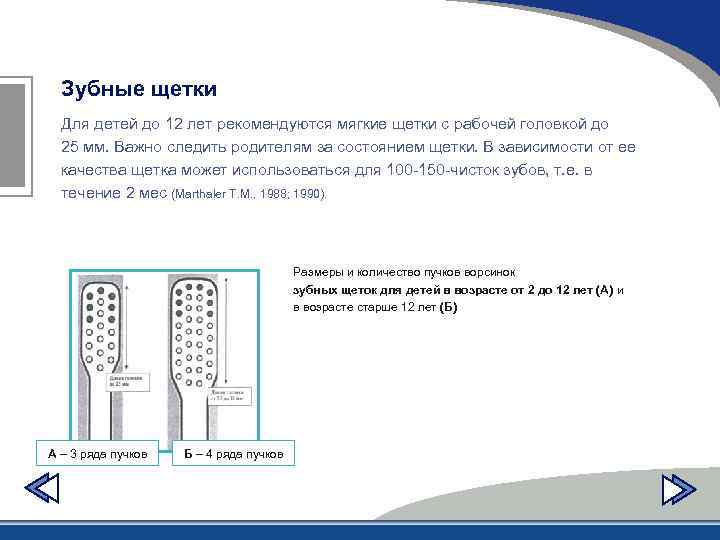 Зубные щетки Для детей до 12 лет рекомендуются мягкие щетки с рабочей головкой до