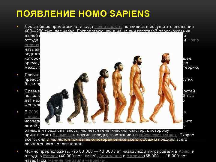 ПОЯВЛЕНИЕ HOMO SAPIENS • Древнейшие представители вида Homo sapiens появились в результате эволюции 400—