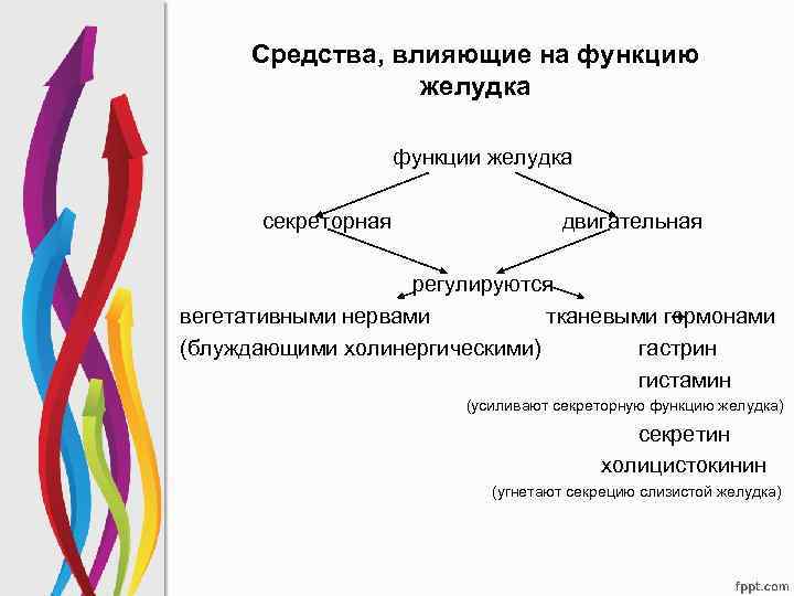 Усиление интенсивности деятельности желез желудка