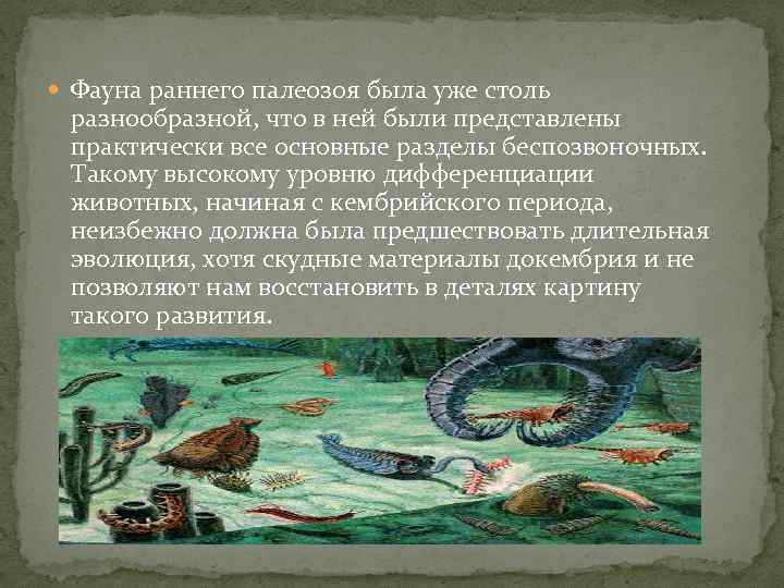  Фауна раннего палеозоя была уже столь разнообразной, что в ней были представлены практически