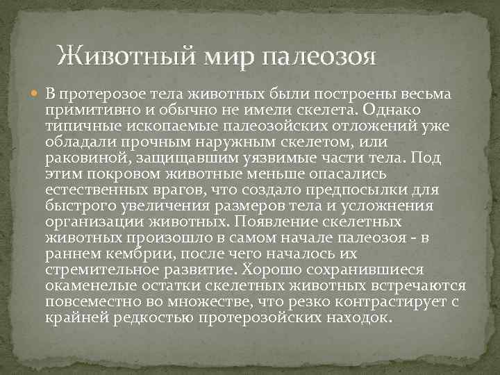  Животный мир палеозоя В протерозое тела животных были построены весьма примитивно и обычно
