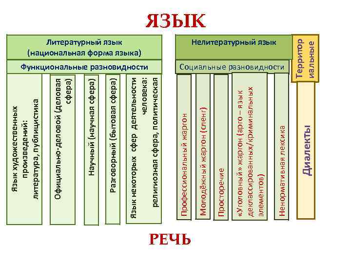 РЕЧЬ Литературный язык (национальная форма языка) Функциональные разновидности Социальные разновидности Территор иальные Нелитературный язык