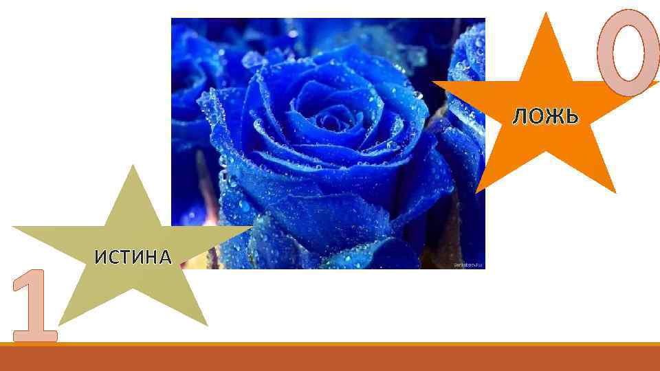 ЛОЖЬ 1 ИСТИНА 