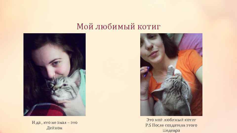 Мой любимый котиг И да , кто не знал – это Деймон Это мой