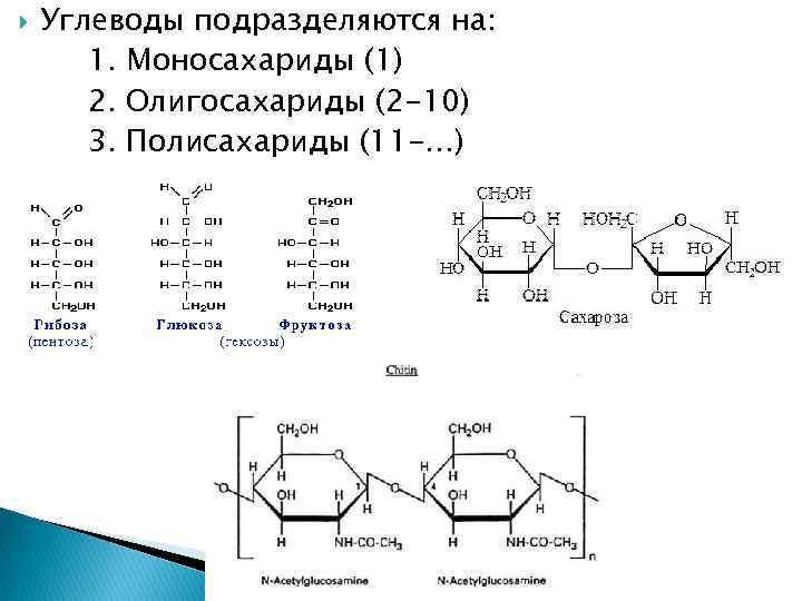  Углеводы подразделяются на: 1. Моносахариды (1) 2. Олигосахариды (2 -10) 3. Полисахариды (11