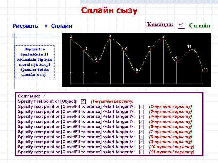 Сплайн сызу Рисовать Команда: Сплайн 4 • 1 • Вертикаль орналасқан 11 кесіндінің бір