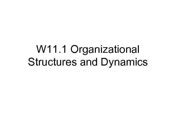 W 11. 1 Organizational Structures and Dynamics 