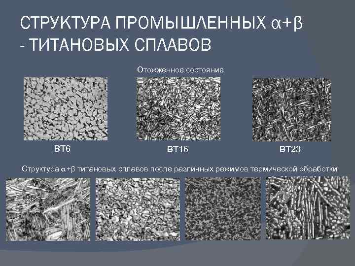 СТРУКТУРА ПРОМЫШЛЕННЫХ α+β - ТИТАНОВЫХ СПЛАВОВ Отожженное состояние ВТ 6 ВТ 16 ВТ 23