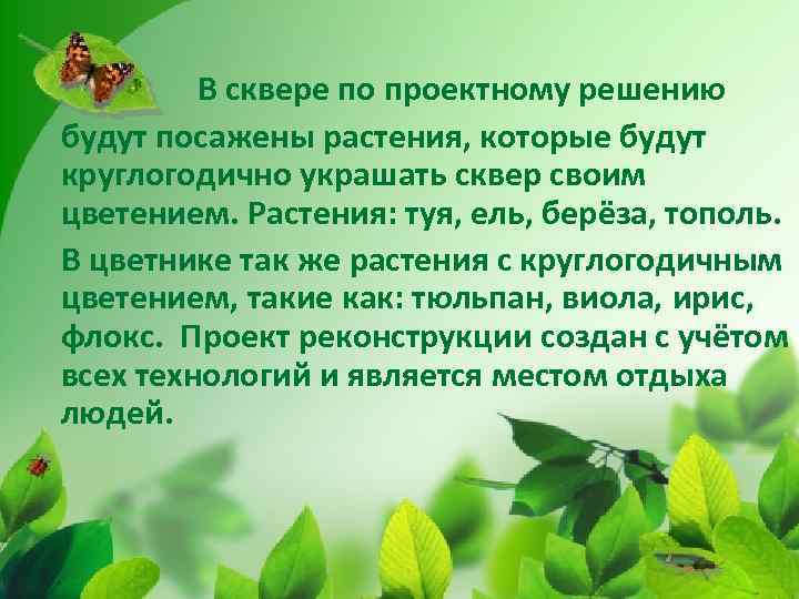 В сквере по проектному решению будут посажены растения, которые будут круглогодично украшать сквер своим