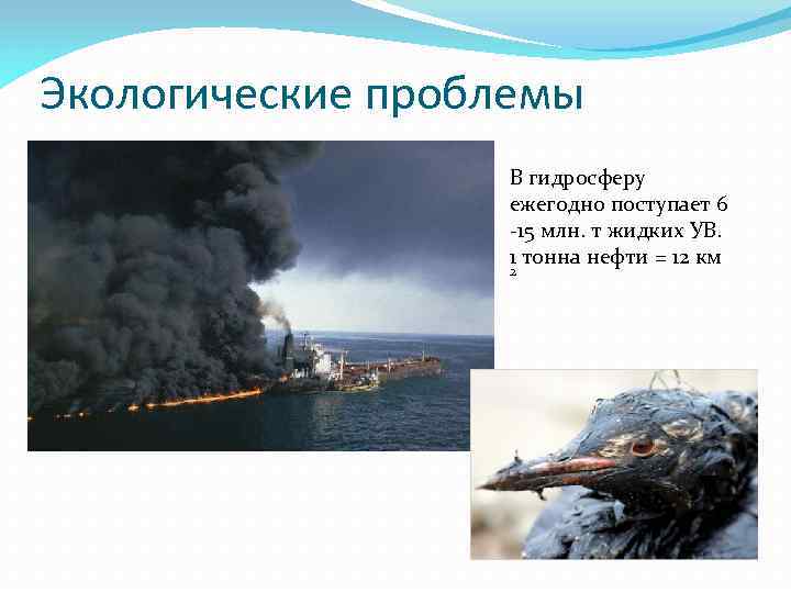 Экологические проблемы В гидросферу ежегодно поступает 6 -15 млн. т жидких УВ. 1 тонна