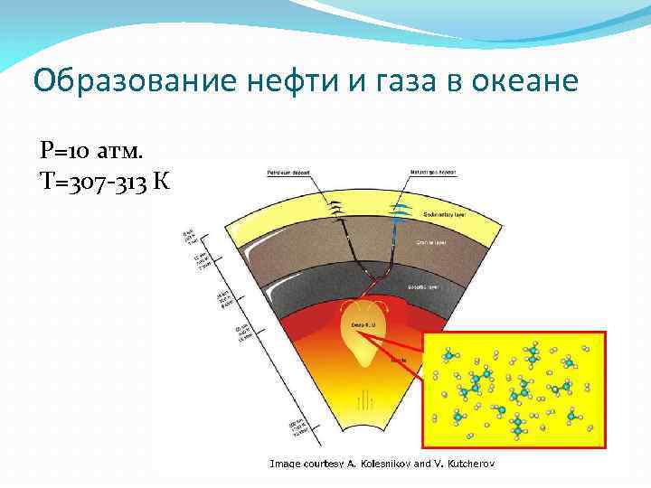 Курсовая работа: Нефтегазовые ресурсы Мирового океана