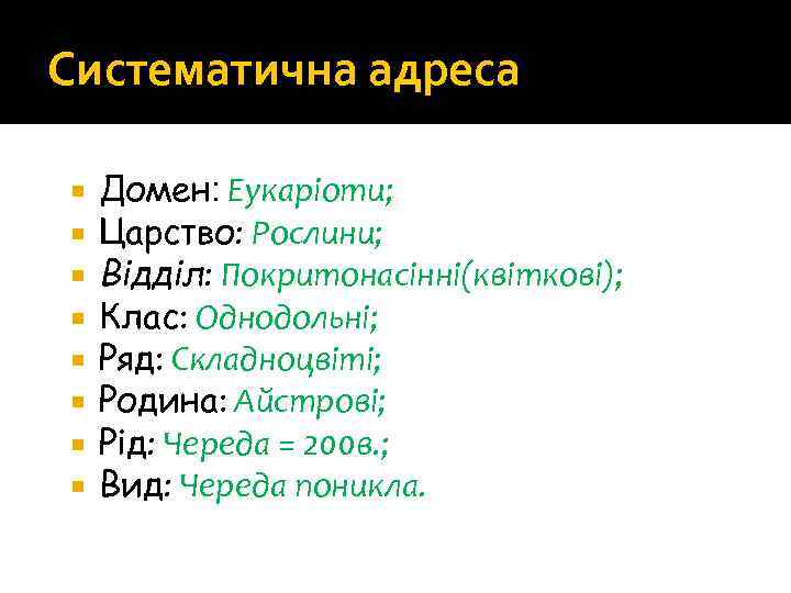 Систематична адреса Домен: Еукаріоти; Царство: Рослини; Відділ: Покритонасінні(квіткові); Клас: Однодольні; Ряд: Складноцвіті; Родина: Айстрові;