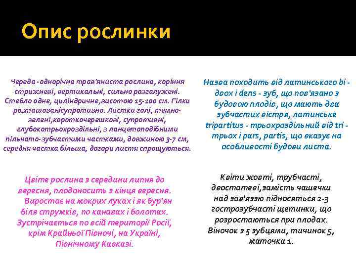 Опис рослинки Череда -однорічна трав'яниста рослина, коріння стрижневі, вертикальні, сильно розгалужені. Стебло одне, циліндричне,