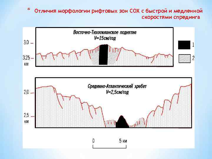 * Отличия морфологии рифтовых зон СОХ с быстрой и медленной скоростями спрединга 