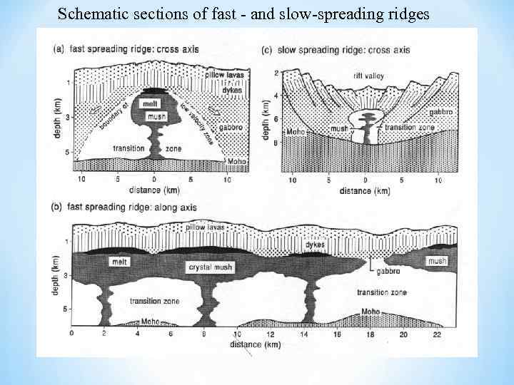 Schematic sections of fast - and slow-spreading ridges 