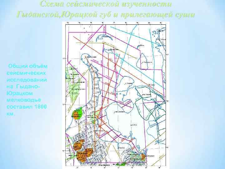Схема сейсмической изученности Гыданской, Юрацкой губ и прилегающей суши Общий объём сейсмических исследований на