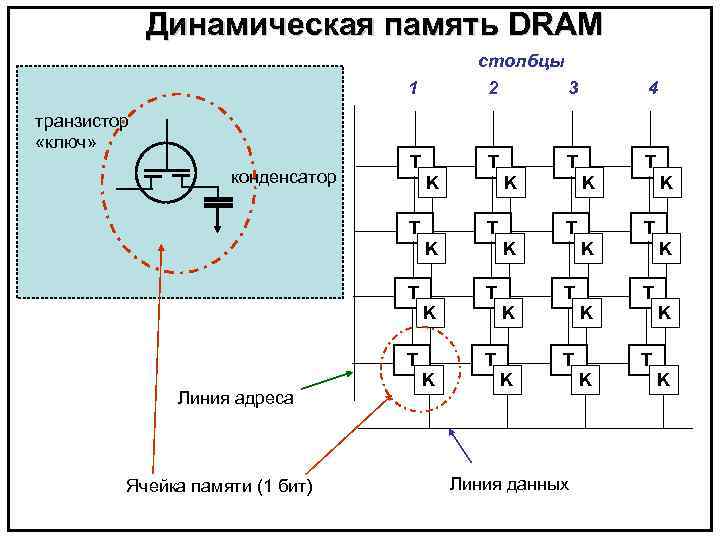 Динамическая память DRAM столбцы 1 транзистор «ключ» конденсатор 2 3 4 T T K