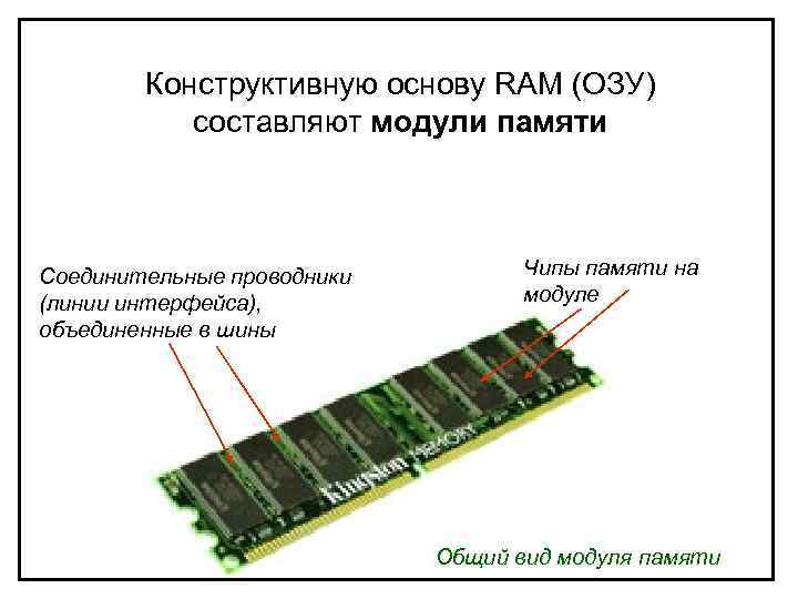 Конструктивную основу RAM (ОЗУ) составляют модули памяти Соединительные проводники (линии интерфейса), объединенные в шины