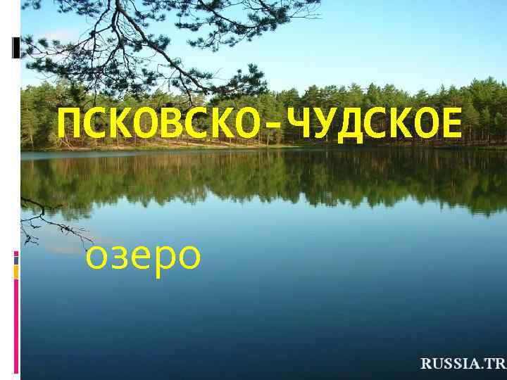 ПСКОВСКО-ЧУДСКОЕ озеро 