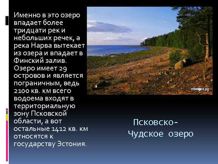 Именно в это озеро впадает более тридцати рек и небольших речек, а река Нарва
