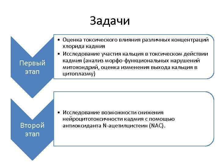 Задачи Первый этап Второй этап • Оценка токсического влияния различных концентраций хлорида кадмия •