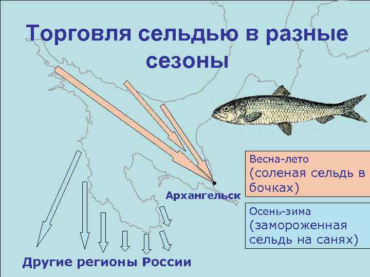 Торговля сельдью в разные сезоны Весна-лето Архангельск (соленая сельдь в бочках) Осень-зима (замороженная сельдь