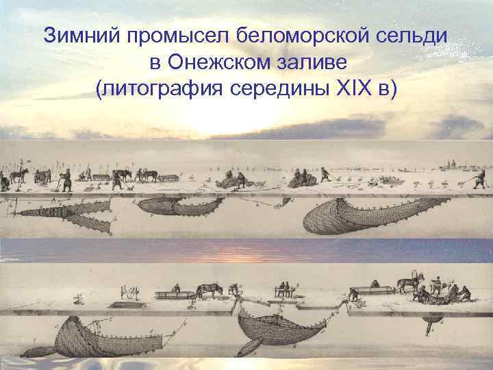 Зимний промысел беломорской сельди в Онежском заливе (литография середины XIX в) 