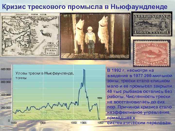 Кризис трескового промысла в Ньюфаундленде 800 000 Уловы трески в Ньюфаунленде, тонны 600 000