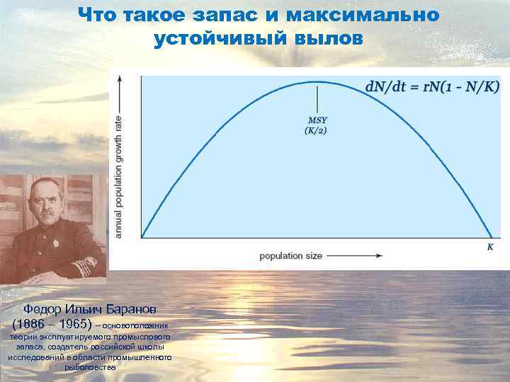 Что такое запас и максимально устойчивый вылов Федор Ильич Баранов (1886 – 1965) –