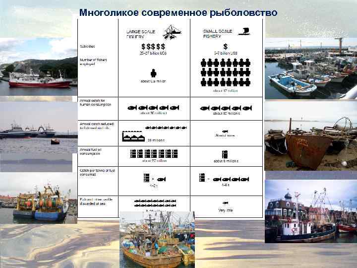 Многоликое современное рыболовство 
