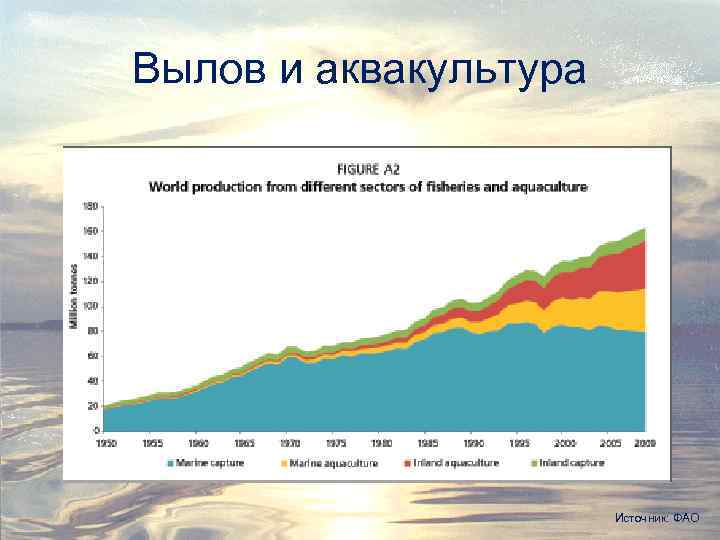 Вылов и аквакультура Источник: ФАО 