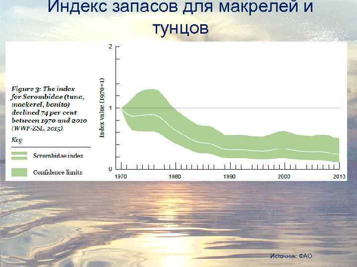 Индекс запасов для макрелей и тунцов Источник: ФАО 
