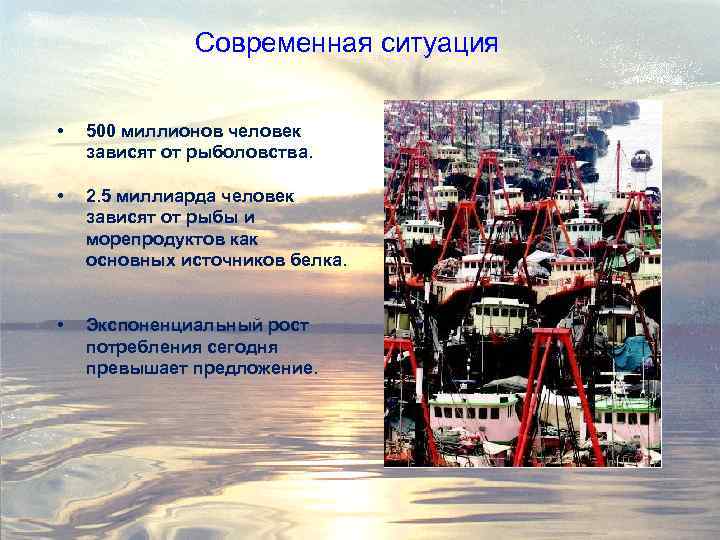 Современная ситуация • 500 миллионов человек зависят от рыболовства. • 2. 5 миллиарда человек