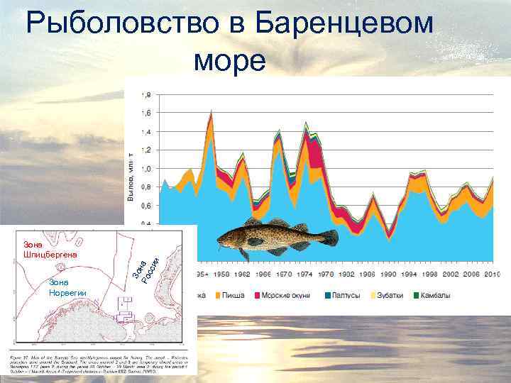 Рыболовство в Баренцевом море Зона Норвегии Зо Ро на сси и Зона Шпицбергена 