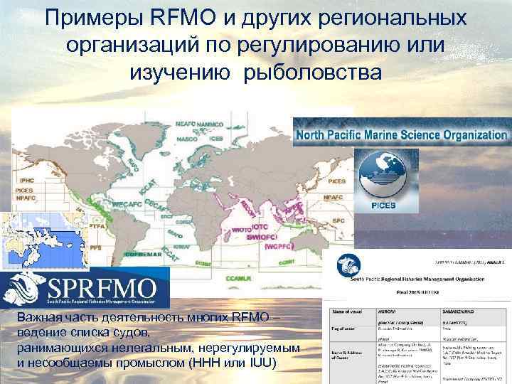 Примеры RFMO и других региональных организаций по регулированию или изучению рыболовства Важная часть деятельность