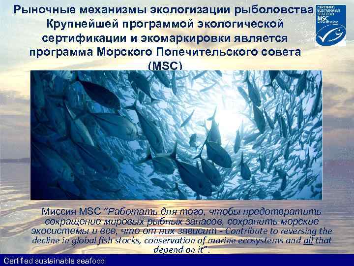 Рыночные механизмы экологизации рыболовства. Крупнейшей программой экологической сертификации и экомаркировки является программа Морского Попечительского