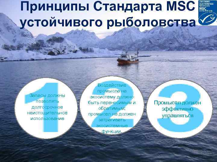 Принципы Стандарта MSC устойчивого рыболовства Запасы должны позволять долгосрочное неистощительное использование The best environmental