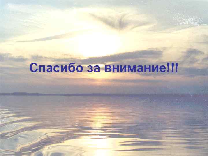 Спасибо за внимание!!! 