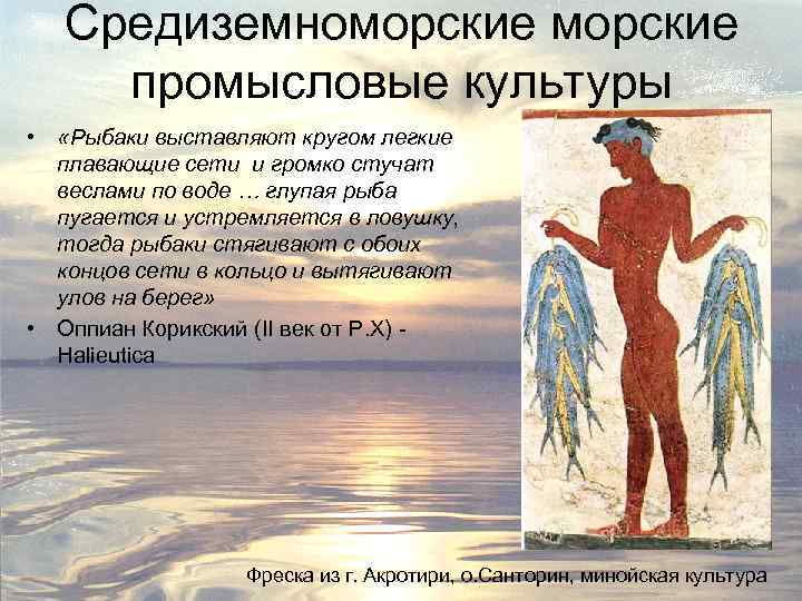 Средиземноморские промысловые культуры • «Рыбаки выставляют кругом легкие плавающие сети и громко стучат веслами