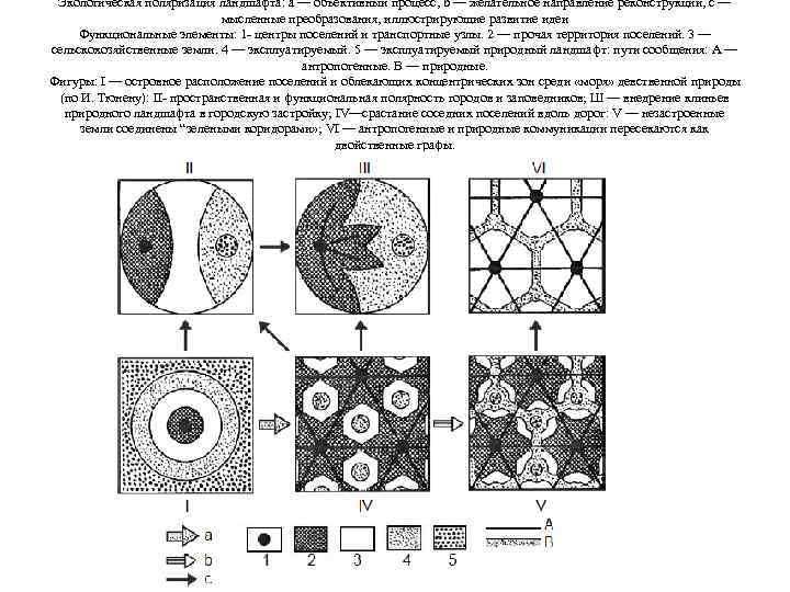 Экологическая поляризация ландшафта: а — объективный процесс, b — желательное направление реконструкции, с —