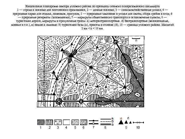 Желательная планировка сектора узлового района по принципу сетевого поляризованного ландшафта 1 — города и