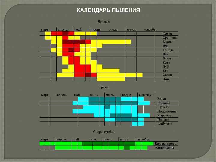 КАЛЕНДАРЬ ПЫЛЕНИЯ 