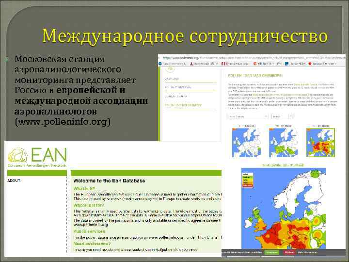  Московская станция аэропалинологического мониторинга представляет Россию в европейской и международной ассоциации аэропалинологов (www.